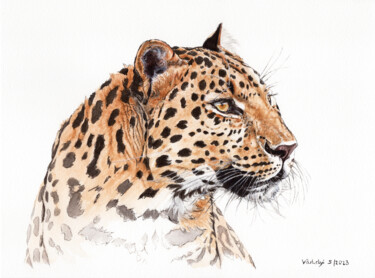 Dessin intitulée "Leopard" par Lilla Varhelyi, Œuvre d'art originale, Encre