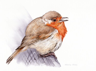 Dibujo titulada "Robin" por Lilla Varhelyi, Obra de arte original, Tinta