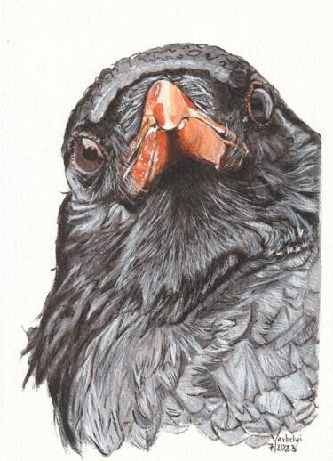Zeichnungen mit dem Titel "Rabenvogel 17 Roofy" von Lilla Varhelyi, Original-Kunstwerk, Tinte