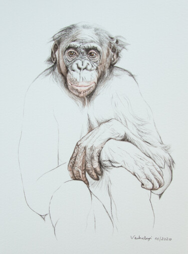 Рисунок под названием "Bonobo" - Lilla Varhelyi, Подлинное произведение искусства, Чернила