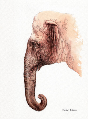 Tekening getiteld "Asiatischer Elefant" door Lilla Varhelyi, Origineel Kunstwerk, Inkt