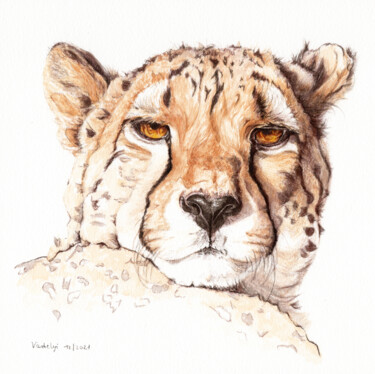 Drawing titled "Gepard" by Lilla Varhelyi, Original Artwork, Ink