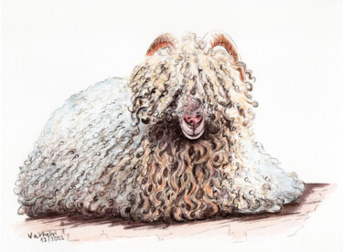 Zeichnungen mit dem Titel "Schaf mit Locken" von Lilla Varhelyi, Original-Kunstwerk, Tinte