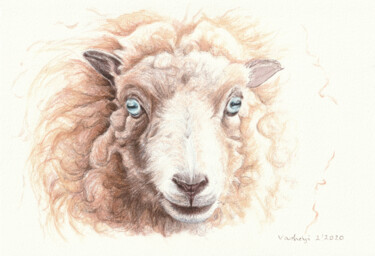 Zeichnungen mit dem Titel "Schaf" von Lilla Varhelyi, Original-Kunstwerk, Tinte