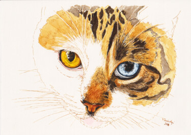 Drawing titled "Katze tricolore" by Lilla Varhelyi, Original Artwork, Ink