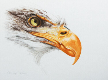 Dibujo titulada "Adler" por Lilla Varhelyi, Obra de arte original, Tinta