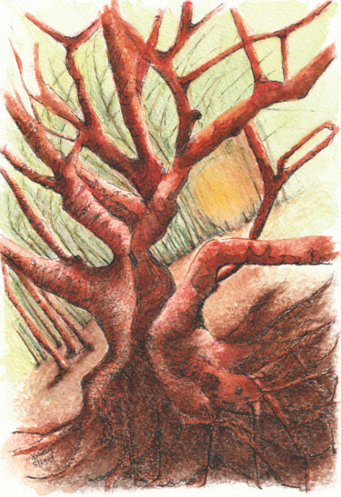Zeichnungen mit dem Titel "Baumstudie 29" von Lilla Varhelyi, Original-Kunstwerk, Tinte