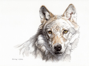Dibujo titulada "Wolf 2" por Lilla Varhelyi, Obra de arte original, Tinta