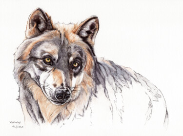 Tekening getiteld "Wolf 4" door Lilla Varhelyi, Origineel Kunstwerk, Inkt
