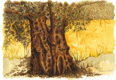Zeichnungen mit dem Titel "Baumstudie 16 Olive…" von Lilla Varhelyi, Original-Kunstwerk, Tinte