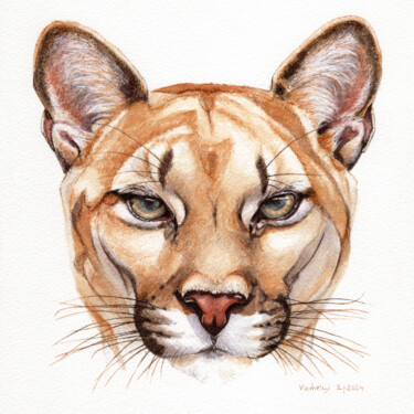 Desenho intitulada "Puma" por Lilla Varhelyi, Obras de arte originais, Tinta