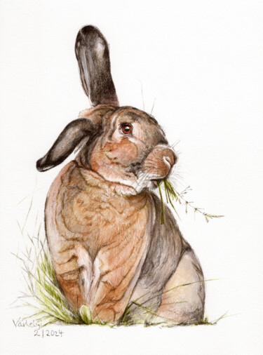 Zeichnungen mit dem Titel "Kaninchen im Gras" von Lilla Varhelyi, Original-Kunstwerk, Tinte