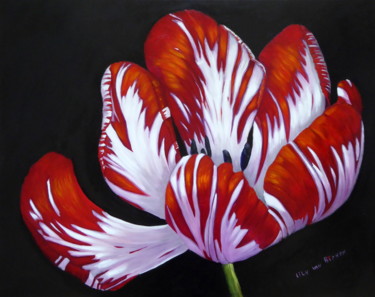 Semper Augustus Tulip Peinture intitulée "Semper Augustus Tul…" par Lily Van Bienen, Œuvre d'art originale, Huile