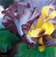 Painting titled "Iris" by Lily Van Bienen, Original Artwork, Oil