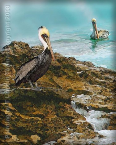 Painting titled "Pelicans At Laguna…" by Lincoln Thomas, Original Artwork, Oil