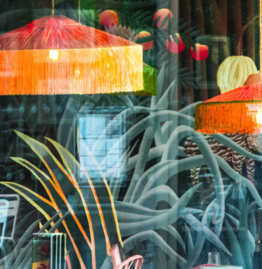 Fotografia intitolato "Window Garden" da Linda Chapman, Opera d'arte originale, Fotografia digitale