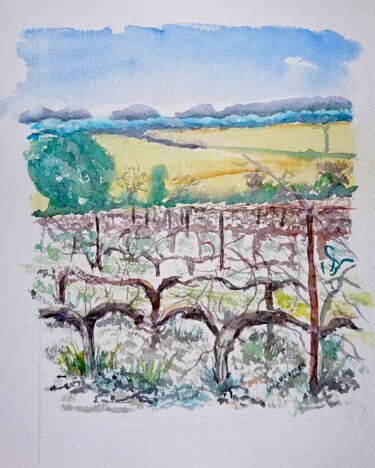 Pintura titulada "Les Vignes d’hiver,…" por Linda H Matthews, Obra de arte original, Acuarela