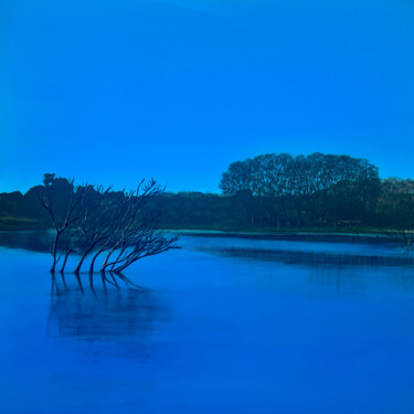 Картина под названием "Echoes Of Us" - Linda Mcfetridge, Подлинное произведение искусства, Акрил Установлен на Деревянная ра…