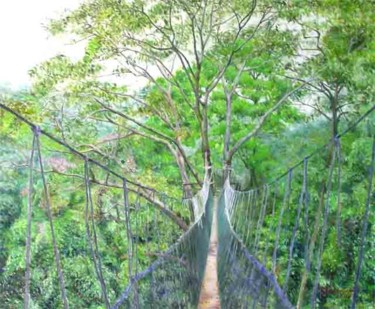 Painting titled "Canopy Walkway - FR…" by Linda Chen, Original Artwork, Oil