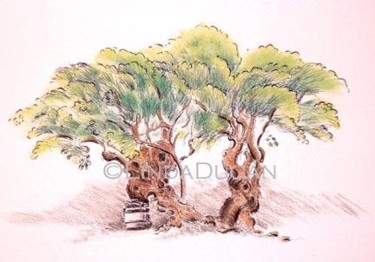 Painting titled "Ancient Olive Trees…" by Linda Dugan, Original Artwork, Oil