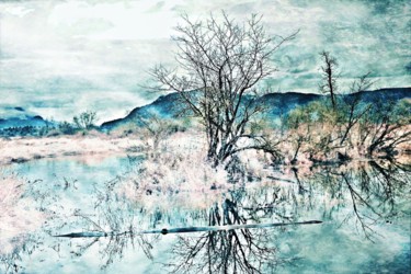 Photography titled "Winter at Duck Pond" by Linda Hegland, Original Artwork