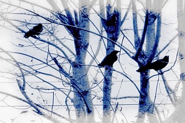 Photography titled "Crows on a Blue Day" by Linda Hegland, Original Artwork