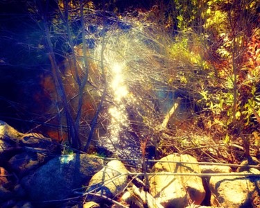 Photography titled "Stream in Autumn Su…" by Linda Hegland, Original Artwork