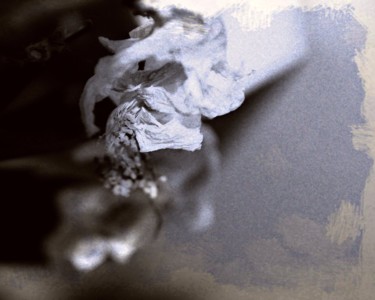 Photography titled "Crepe Petals" by Linda Hegland, Original Artwork