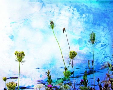 Photography titled "Weeds & Paint" by Linda Hegland, Original Artwork, Digital Photography