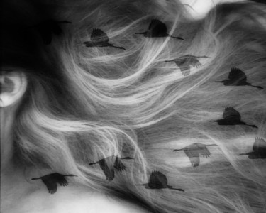 Photography titled "Birds in Hair" by Linda Hegland, Original Artwork, Digital Photography
