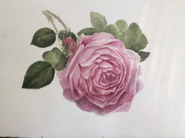 Painting titled "Rosa" by L.Jakobsson, Original Artwork, Watercolor