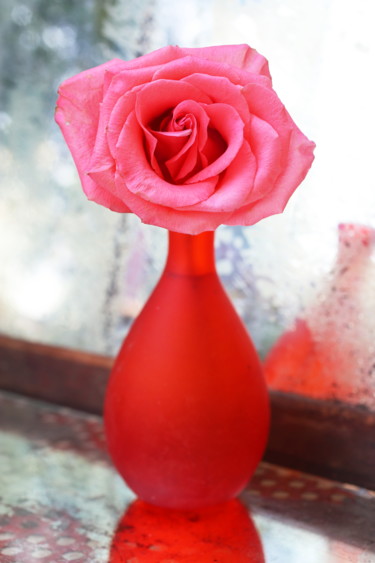 Φωτογραφία με τίτλο "Balzac Rose" από Lindy Powers, Αυθεντικά έργα τέχνης, Ψηφιακή φωτογραφία