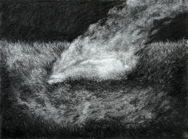 Malarstwo zatytułowany „Combustion” autorstwa Linge Meng, Oryginalna praca, Węgiel drzewny