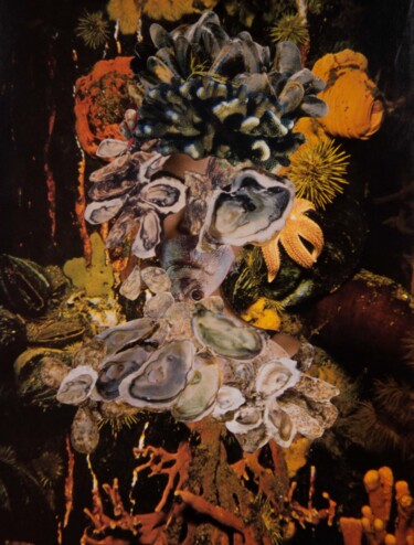 Collages intitulée "Dans les Plaines de…" par Lioncaresse, Œuvre d'art originale