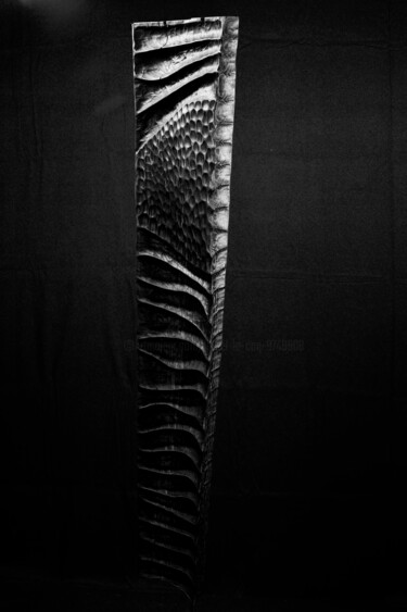 Скульптура под названием "abalone" - Lionel Le Coq, Подлинное произведение искусства, Дерево