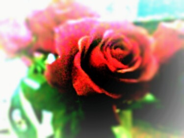 Photography titled "A Rose" by Lisa Bourgeois, Original Artwork