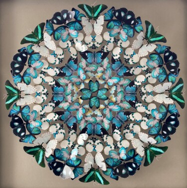 Collagen mit dem Titel "Mandala Peacock" von Lison Gangloff, Original-Kunstwerk, Papier