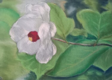 Disegno intitolato "Magnolia, Mustila" da Liudmila Rabinovich, Opera d'arte originale, Pastello