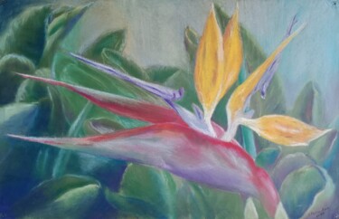 Drawing titled "crane flower" by Liudmila Rabinovich, Original Artwork, Pastel