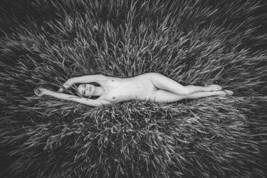 Photography titled "Rye" by Liutauras Domeika, Original Artwork, Digital Photography