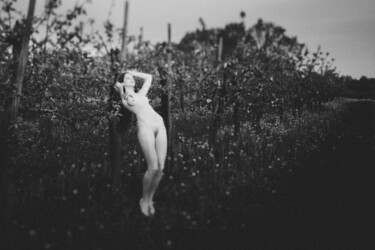 Photographie intitulée "Garden" par Liutauras Domeika, Œuvre d'art originale, Photographie numérique Monté sur Carton