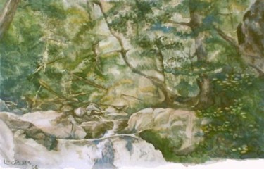 Pintura titulada "Cascada Inacayal" por Liz Cáceres, Obra de arte original, Oleo