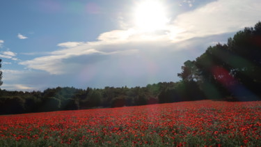 Photography titled "Les coquelicots au…" by Liza Peninon, Original Artwork, Non Manipulated Photography