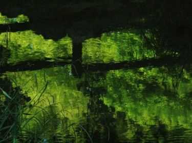Photography titled "Green reflection, p…" by Liza Peninon, Original Artwork