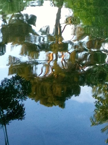 Photographie intitulée "Miroir d'un soir, p…" par Liza Peninon, Œuvre d'art originale