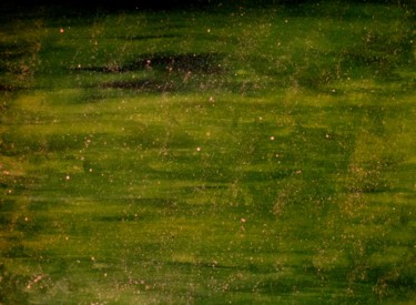 Peinture intitulée "Cosmic Green Fields…" par Liza Peninon, Œuvre d'art originale, Acrylique