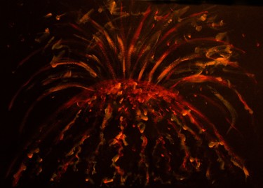 Peinture intitulée "Eruption cosmique,…" par Liza Peninon, Œuvre d'art originale, Acrylique