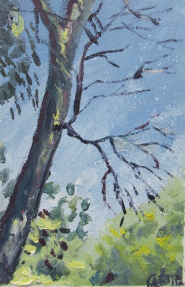 Peinture intitulée "Eucalyptus" par Lledo, Œuvre d'art originale, Huile