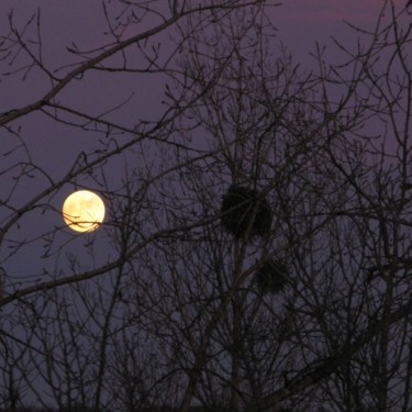 Photographie intitulée "Lever de lune pleine" par Ln Le Cheviller, Œuvre d'art originale
