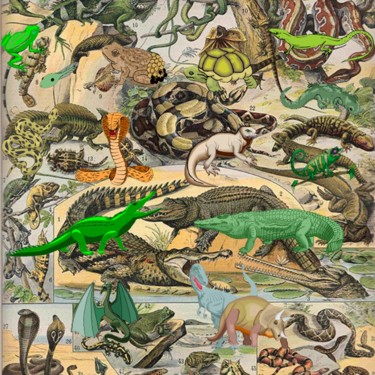 Digitale Kunst mit dem Titel "Reptiles" von Ln Le Cheviller, Original-Kunstwerk, 2D digitale Arbeit